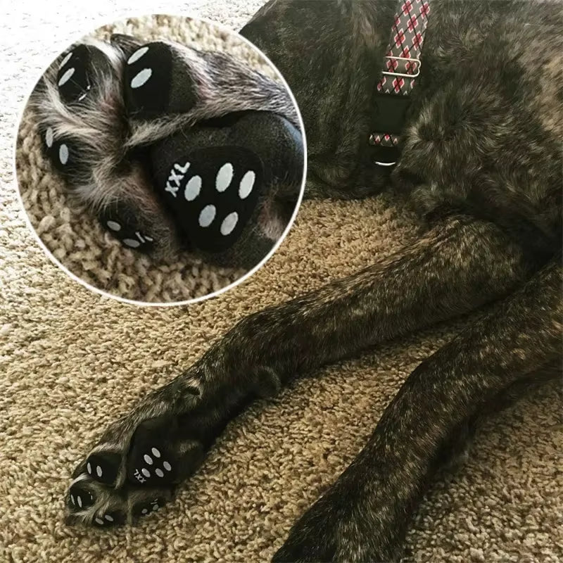 Dog Foot Stickers